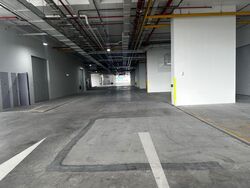 Ct Foodnex (D25), Factory #600644341